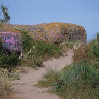 Photo de France - La randonnée de la Tamarissière